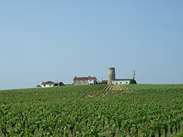 mehari du village Vigneron