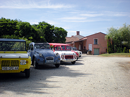 vignoble du village Vigneron