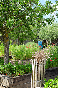 potager du village vigneron