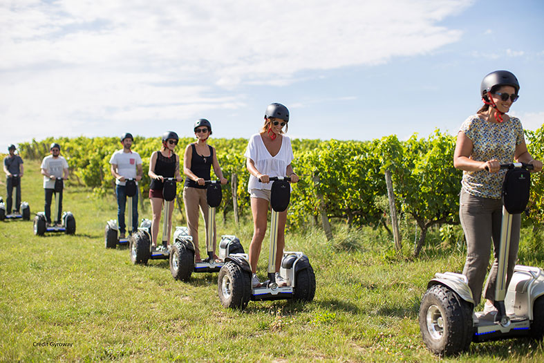 vignoble du village Vigneron