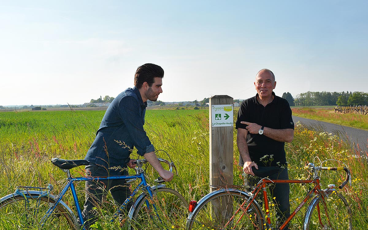 vignoble à vélo